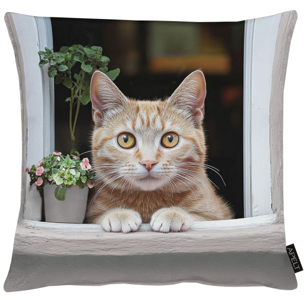 APELT, MIMI, Kissenhülle