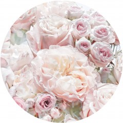 KOMAR, DOT FOTOTAPETE, Pink and Cream Roses