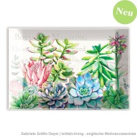 MDW Glasschale, PINK CACTUS MDW Glasschale, PINK CACTUS